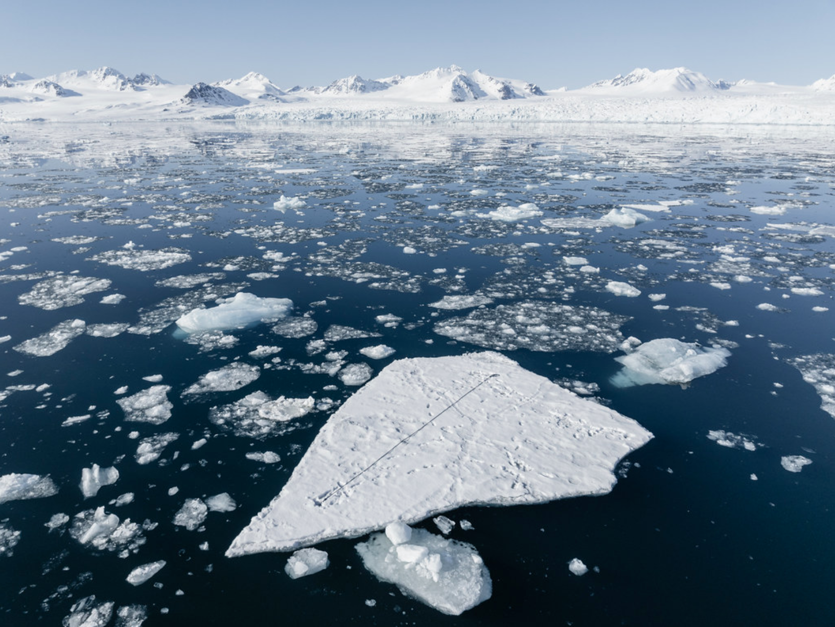 Polar Direction